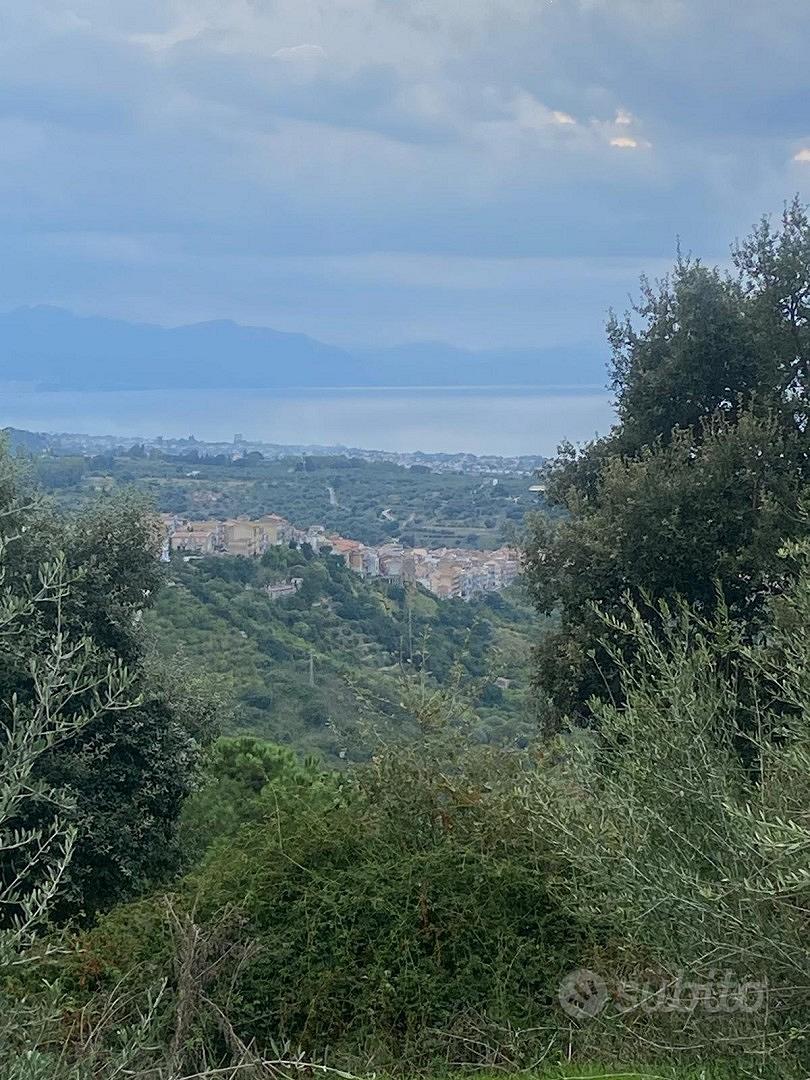 Terreno panoramico 5000 mq con uliveto e pozzi Gra - Altro