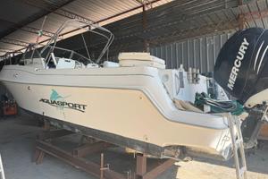 Acquasport 245 Explorer + Mercury F250 Verado