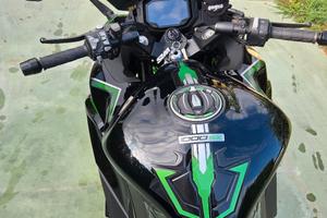kawasaki Z1000 Sx anno 2023