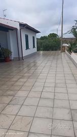 piastrella in cemento Pretrattata 