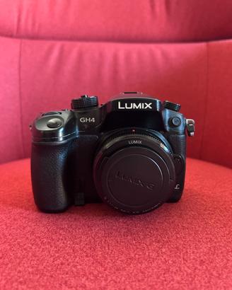 panasonic GH4R - SOLO CORPO