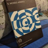 Weyl Mondo Aperto Matematica Fisica