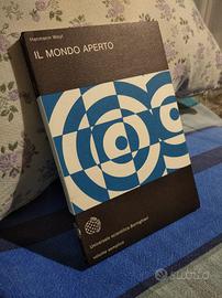 Weyl Mondo Aperto Matematica Fisica