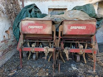 sarchiatore gaspardo 