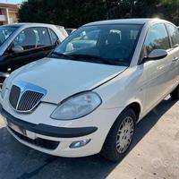 Ricambi per Lancia Ypsilon 1.3 Mjt 2006 188A9000