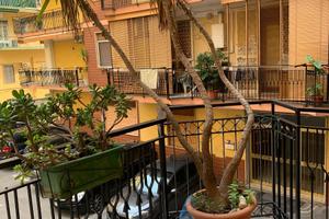 Appartamento in parco via circumvallazione