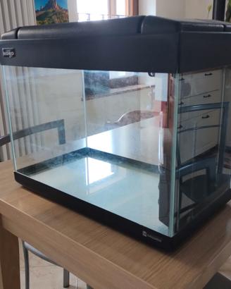 Acquario