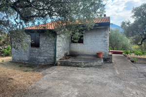 Rustico con terreno nel parco dell etna