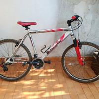 MTB bottecchia  fx 510