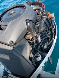 Evinrude E tec 250