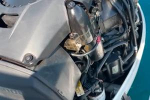 Evinrude E tec 250