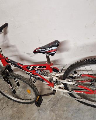 Bicicletta