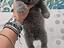 Immagine 5