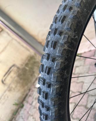 Maxxis 
