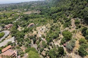 TER. AGRICOLO A GIARRE
