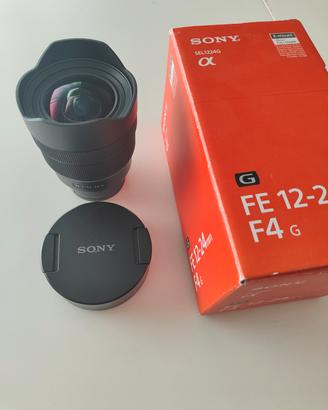 sony 12-24 f4