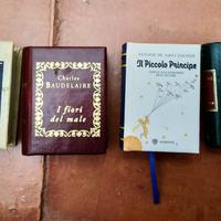 mini libri collezione