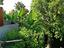 Immagine 12