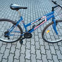 bici freyus  da 26"