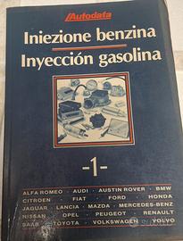 libro iniezione benzina 