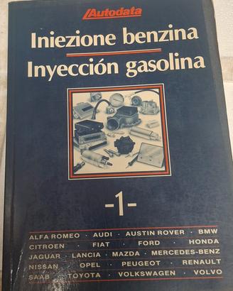 libro iniezione benzina 