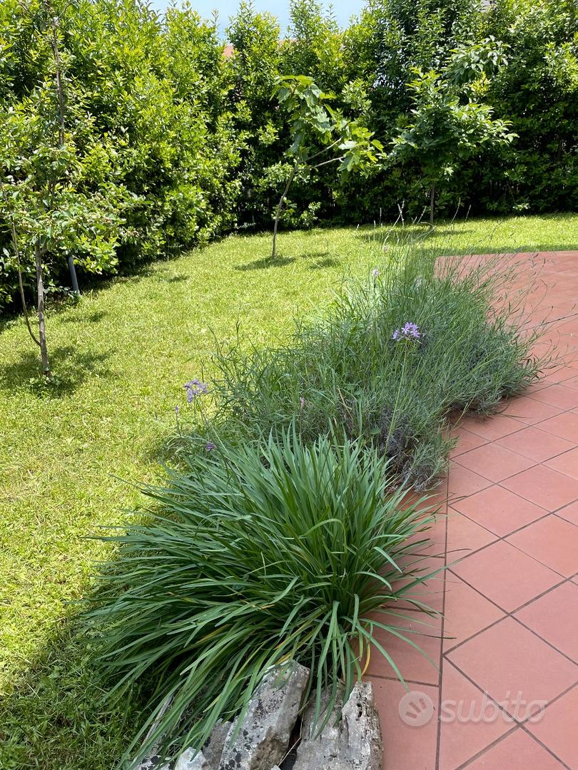 Appartamento – San Benedetto del Tronto, Ragnola - Altro