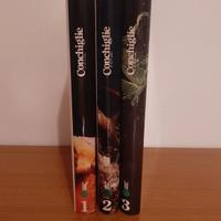 Conchiglie di Tutti i mari 3 volumi