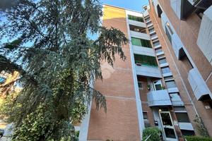 3 LOCALI A FERRARA