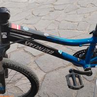 specialized mountain bike  ragazzo