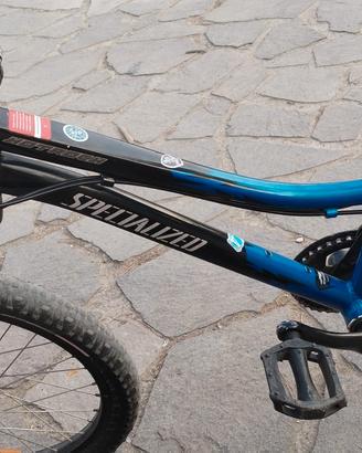 specialized mountain bike  ragazzo