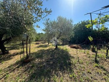 TER. AGRICOLO A ZAGAROLO