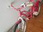 Immagine 3