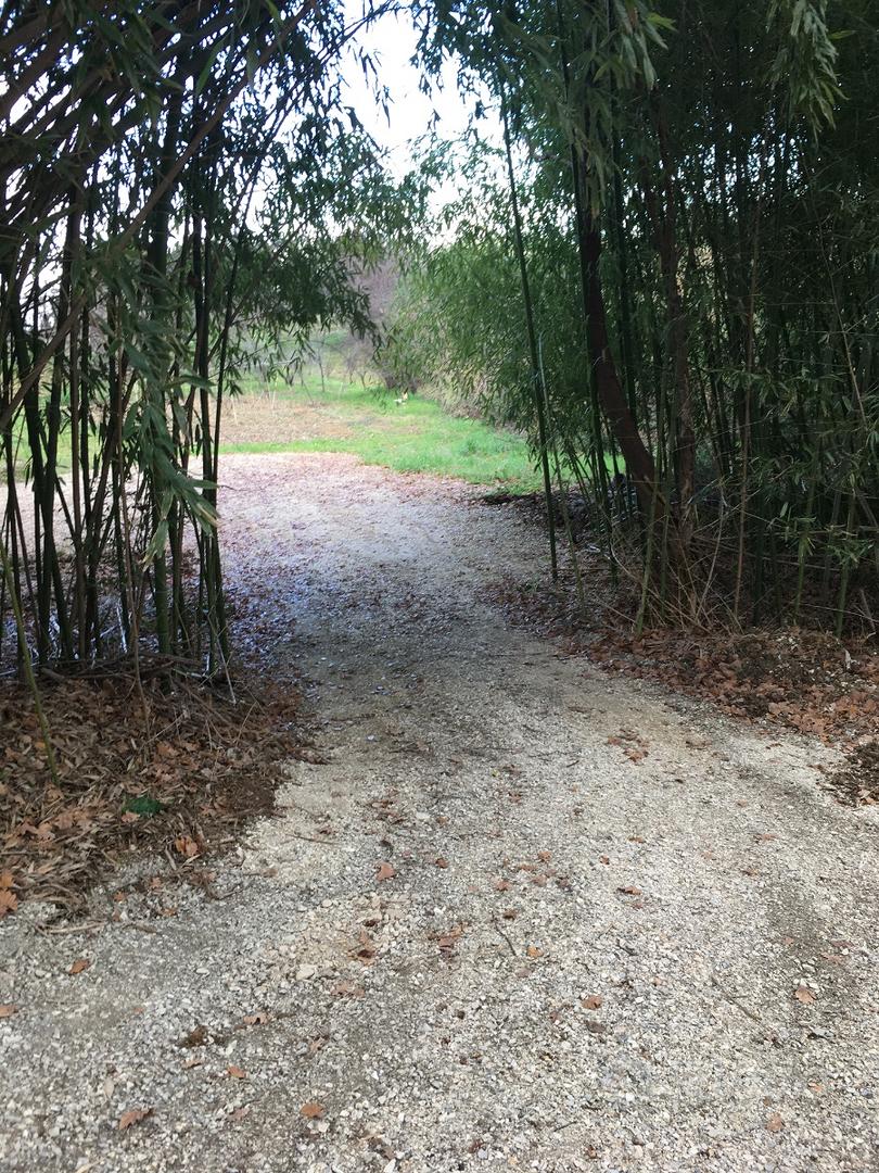 Terreno e rustico - Vista 3