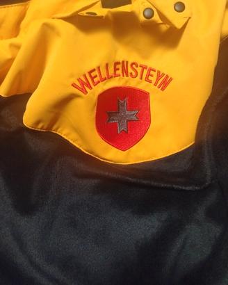 Panalpina Wellenstayn special edition