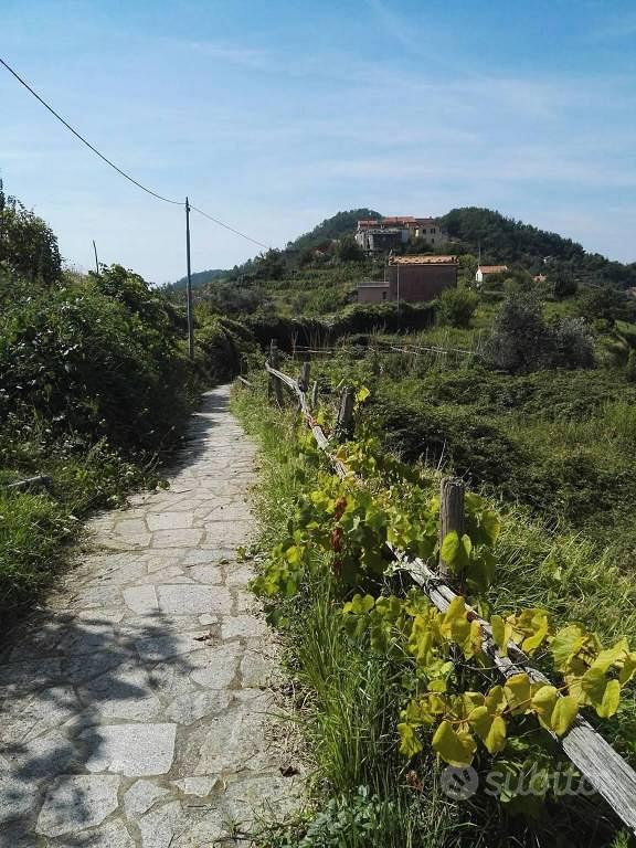 Rustico / Casale di 100 m² con 4 locali a Sestri L - Vista 3