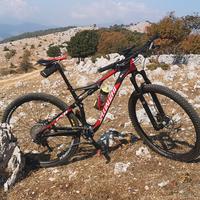 Specialized Epic