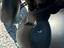 Immagine 5