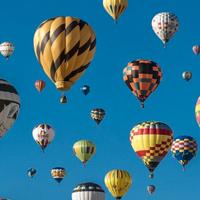 Direttore tecnico per agenzia viaggi Firenze