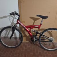 Bicicletta mountain bike Fischer