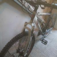 Bicicletta mtb 26