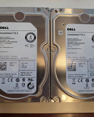 Lotto 2x HDD sas DELL Constellation 2TB 3,5 Server
