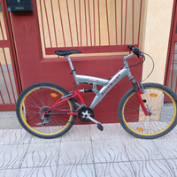 Bici 26