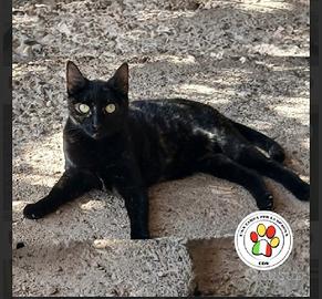 AKELA giovane e splendida