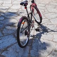 Bicicletta ragazza 24"