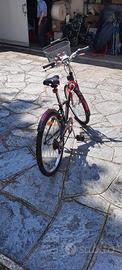 Bicicletta ragazza 24"
