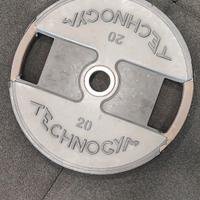 Dischi Technogym 20kg