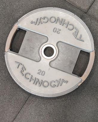 Dischi Technogym 20kg