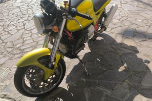 Moto Guzzi V11 Sport