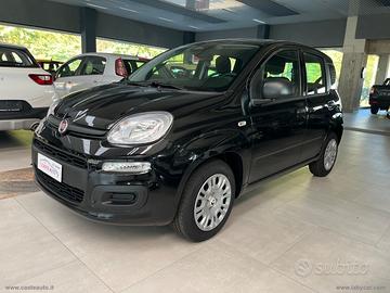 FIAT Panda 1.0 FireFly S&S Hybrid Icon NO VINCOLO
