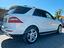 Immagine 7